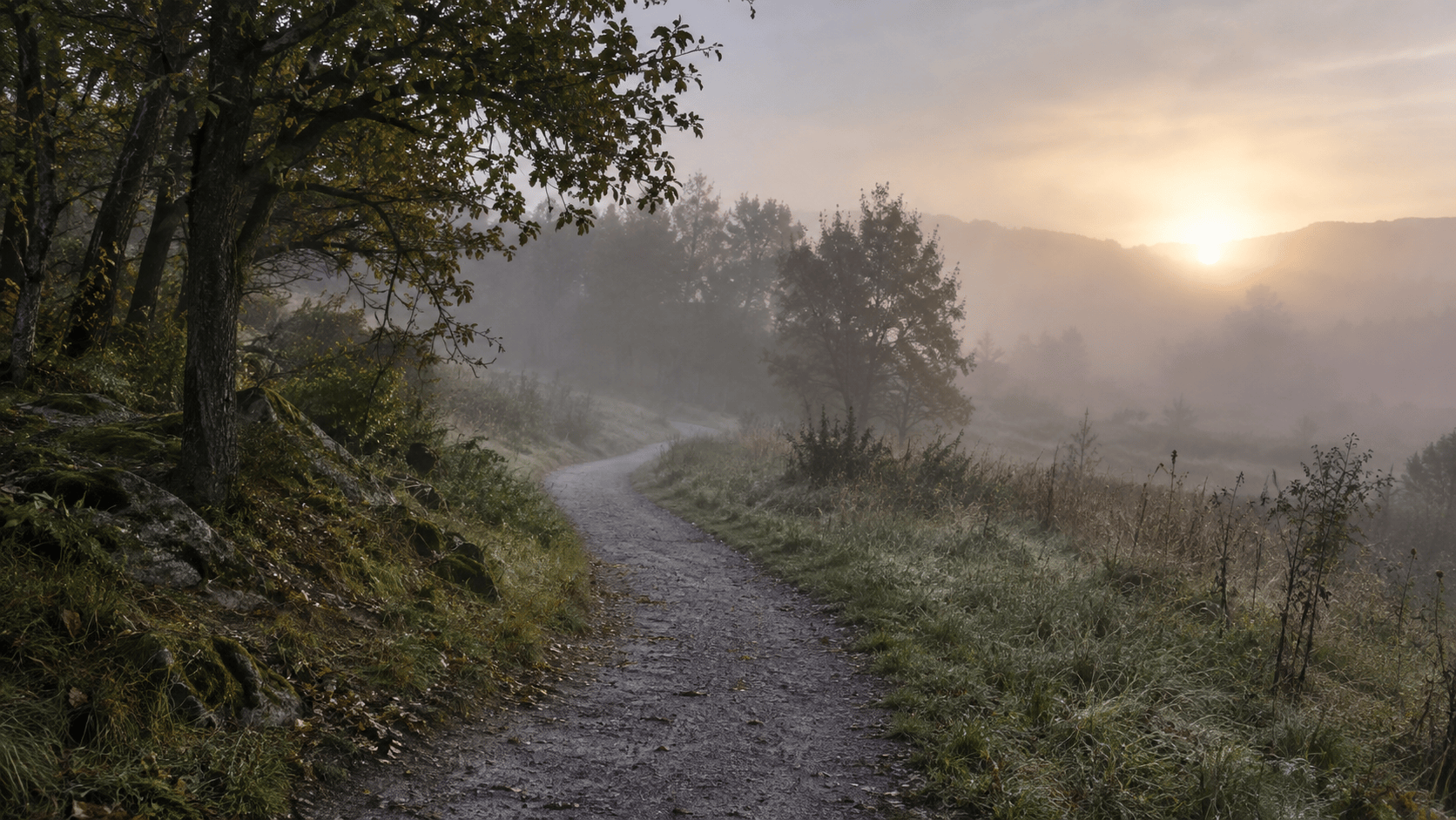 A winding dirt path disappears into morning fog as soft sunlight breaks through over a quiet wooded landscape